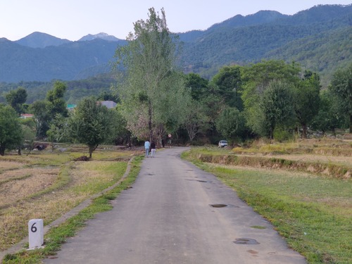 Suja in Bir