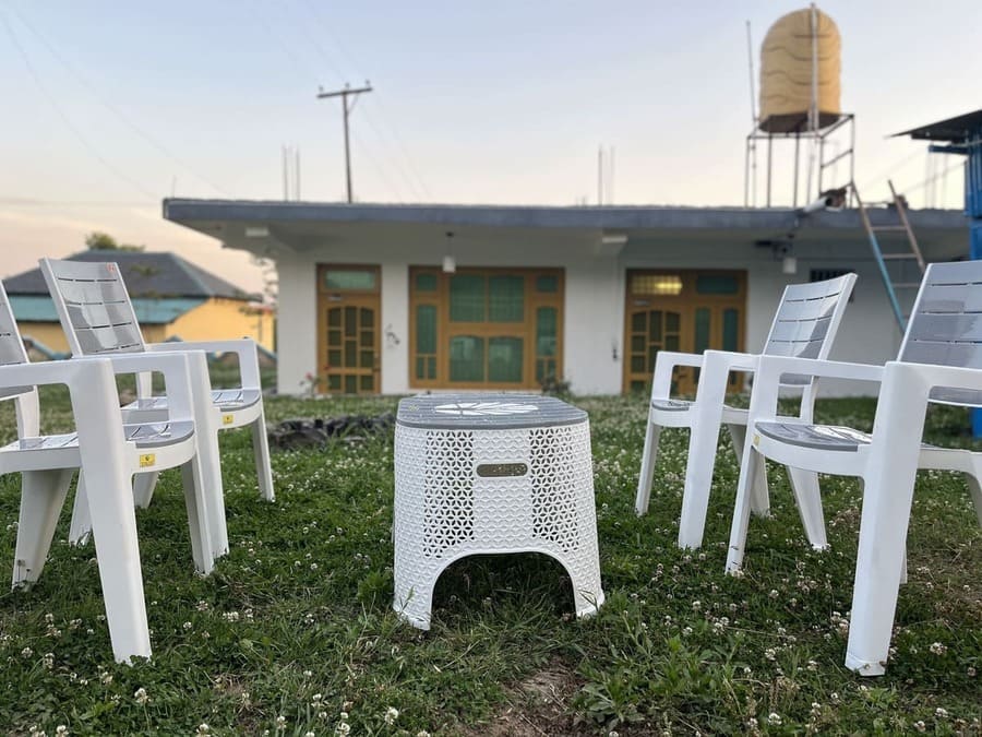 Tree Mural at Sunset