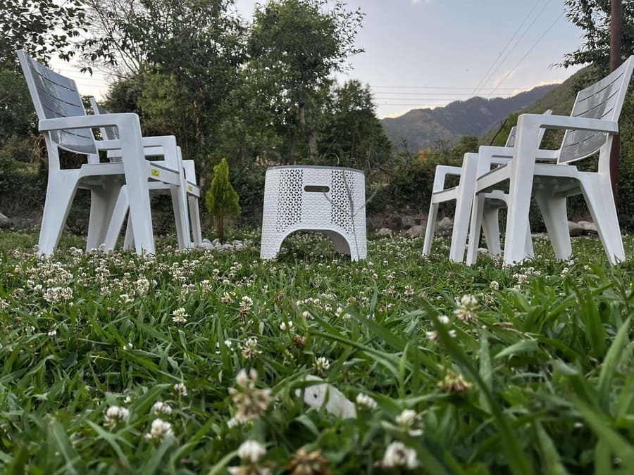 Tree Mural at Sunset